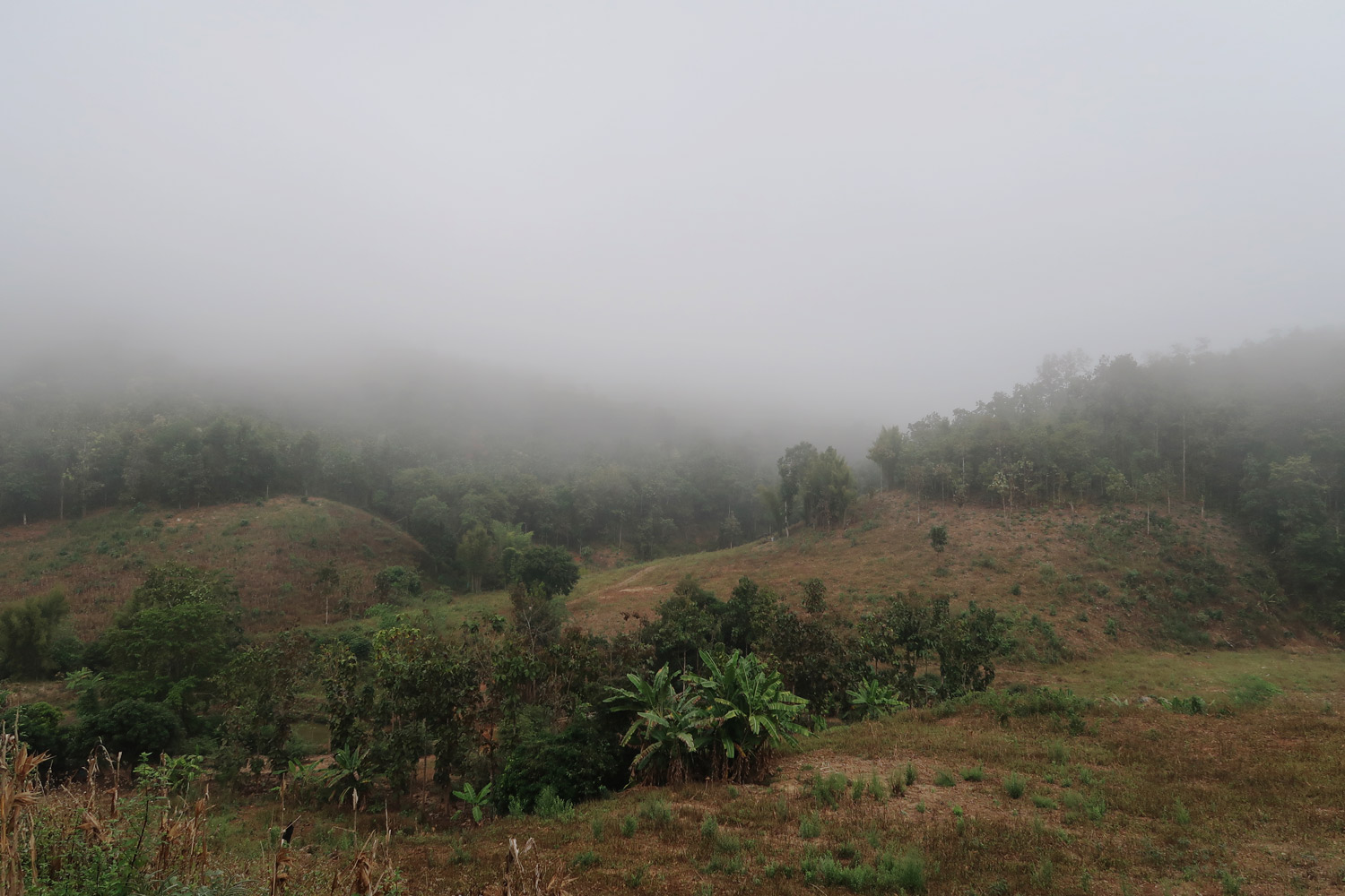 Mae Chaem nach Mae Sariang - Nebel auf der Motorradstrecke