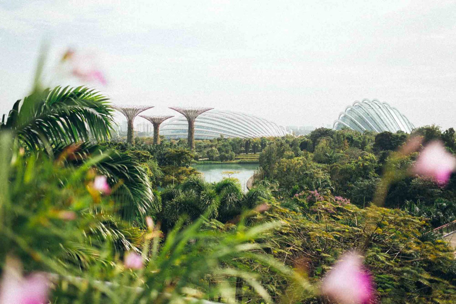 Singapur Sehenswürdigkeiten - 10 Dinge, die du machen solltest! #singapur #sightseeing #sehenswürdigkeiten #südostasien #highlights #tipps #topthingstodo