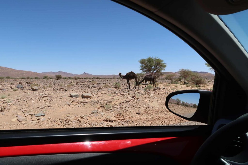 Marokko-Roadtrip-Route
