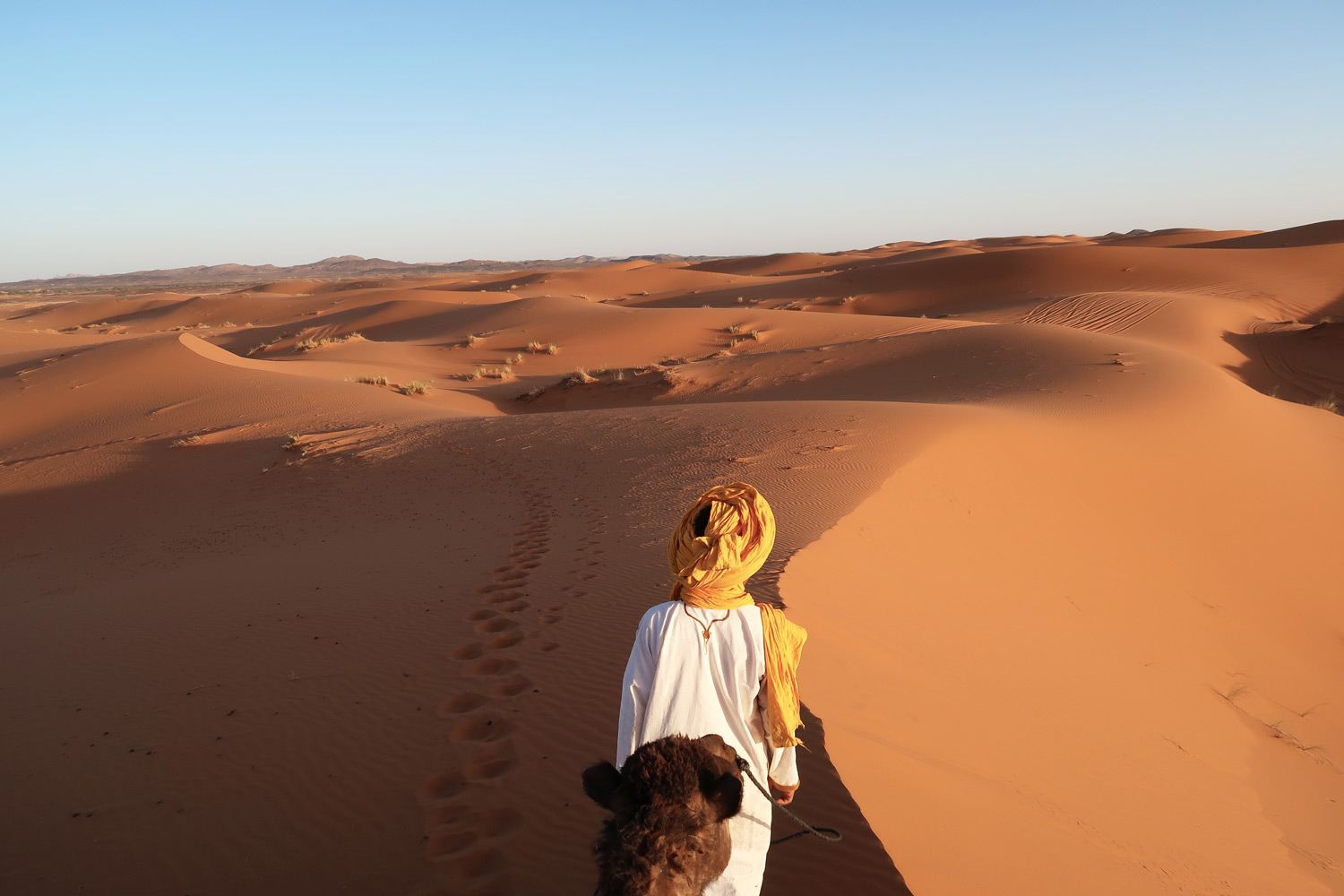 Sahara Wüste - Kamel Trek