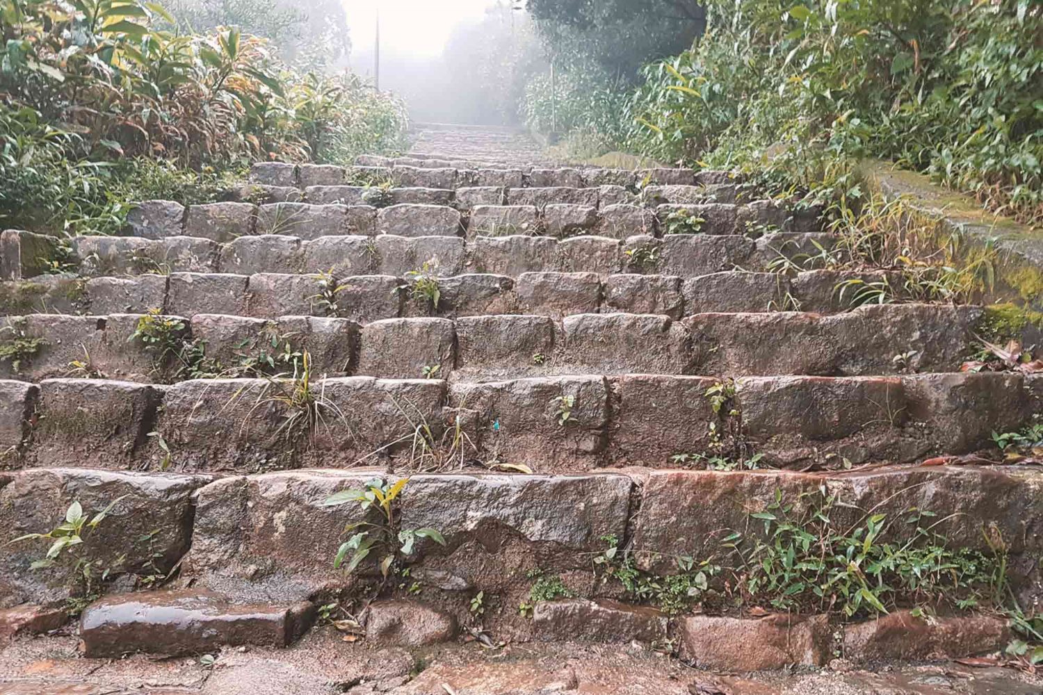 Adams Peak - Der Aufstieg