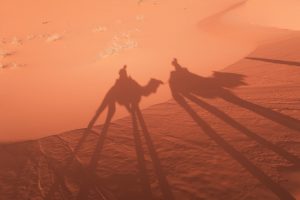 likeontravel-land-marokko-banner