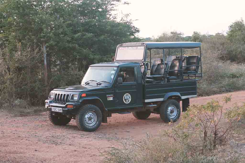 Jeep im Yala Nationalpark