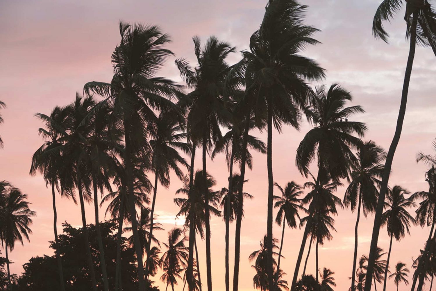 Sri Lanka Reisetipps - Banner