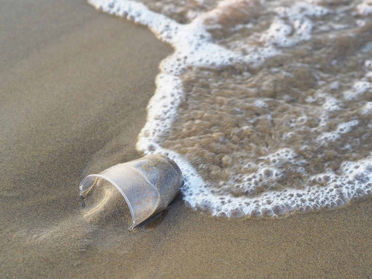 Ein Plastikbecher wird von einer Welle an den Strand gespült