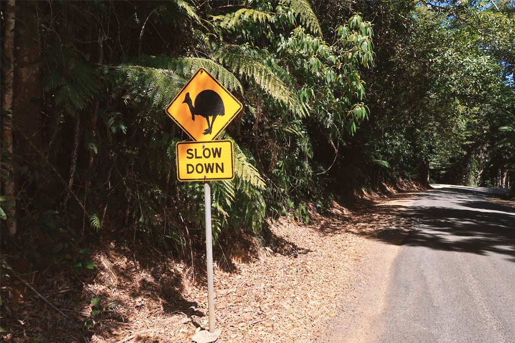 Ein Verkehrsschild mit dem Hinweis auf den australischen Vogel Cassowary, der Vogel von einem anderen Stern