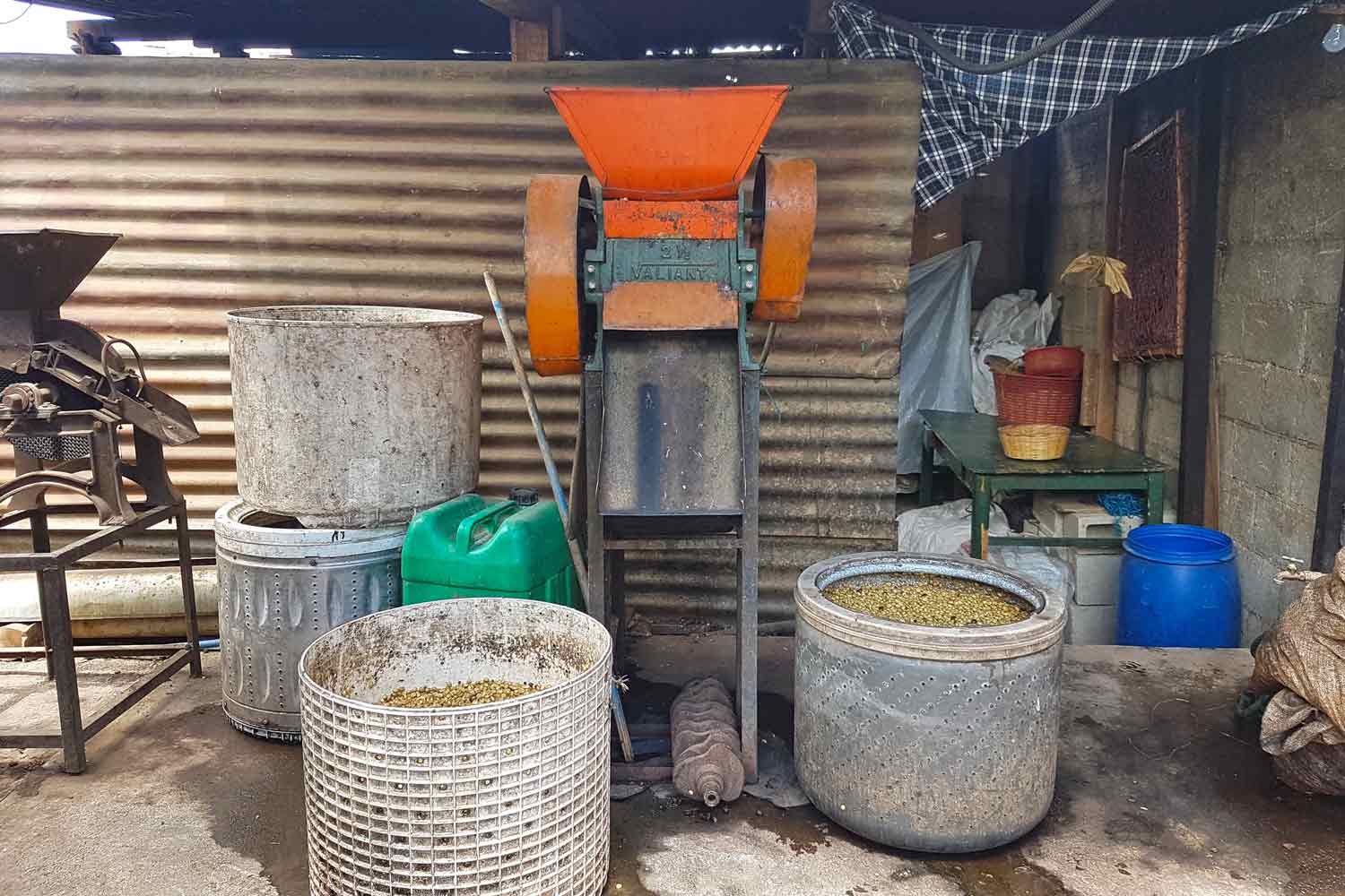 Antigua Kaffee Tour | Röste deinen guatemaltekischen Kaffee - Maschine