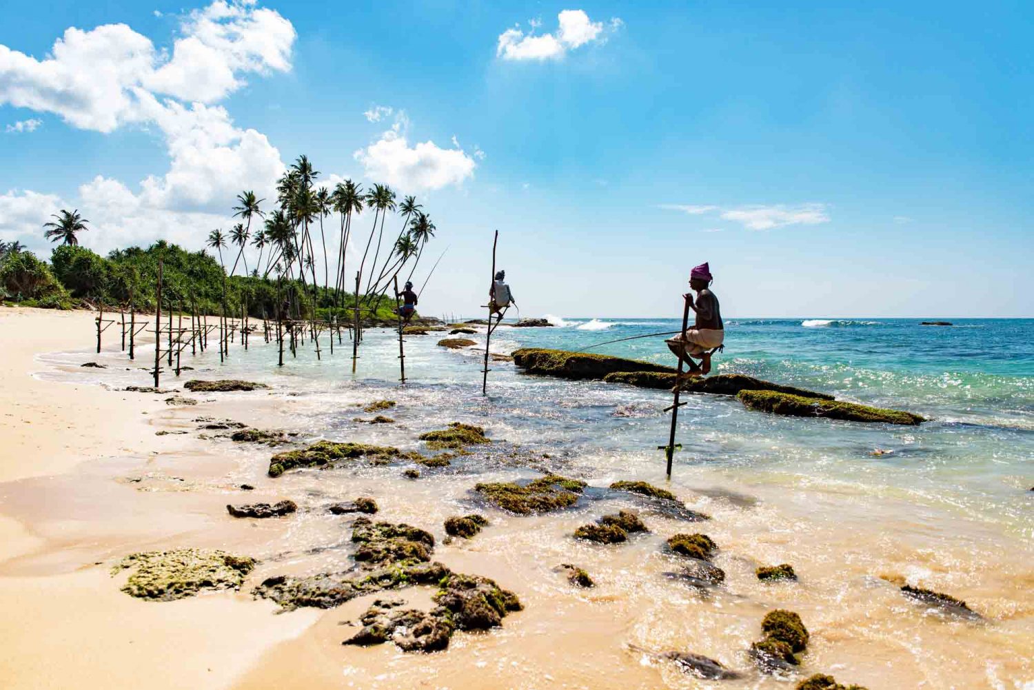 Stelzenfischer am Meer von Sri Lanka