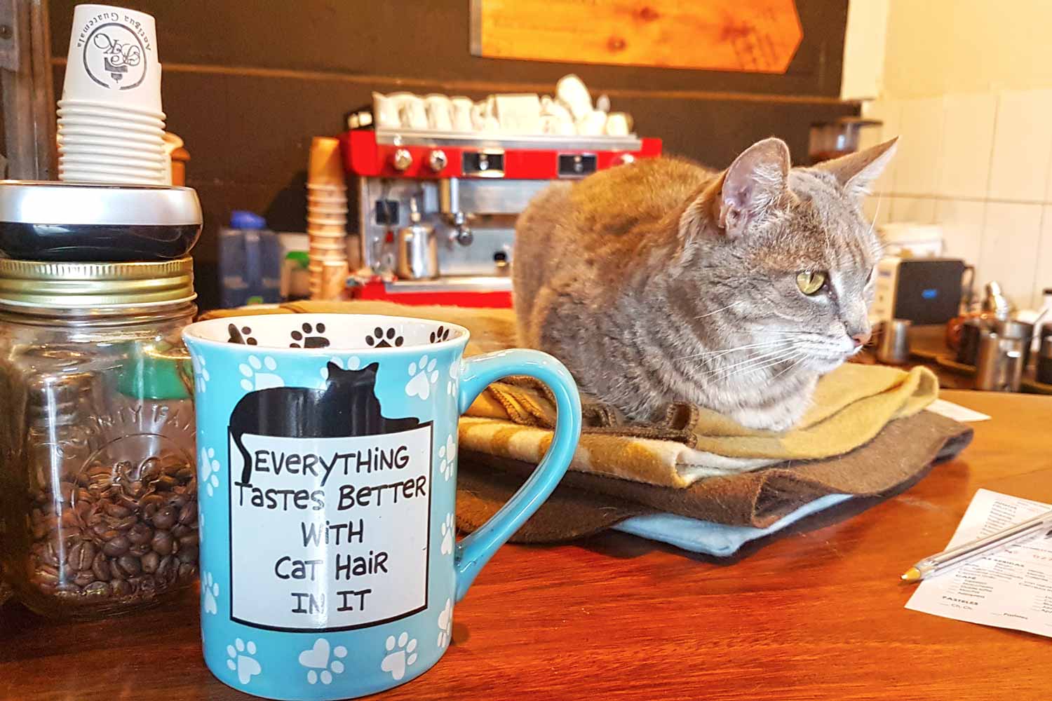 7 stylische Wifi Cafés in Antigua - Guatemala - Fernandos Kaffee