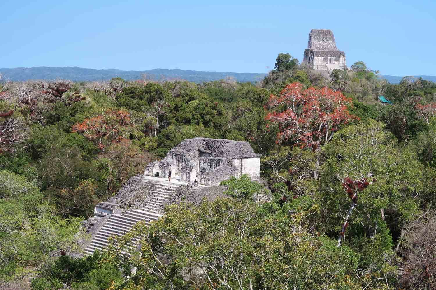Tikal Guide - Die große Maya Stätte in Guatemala 
