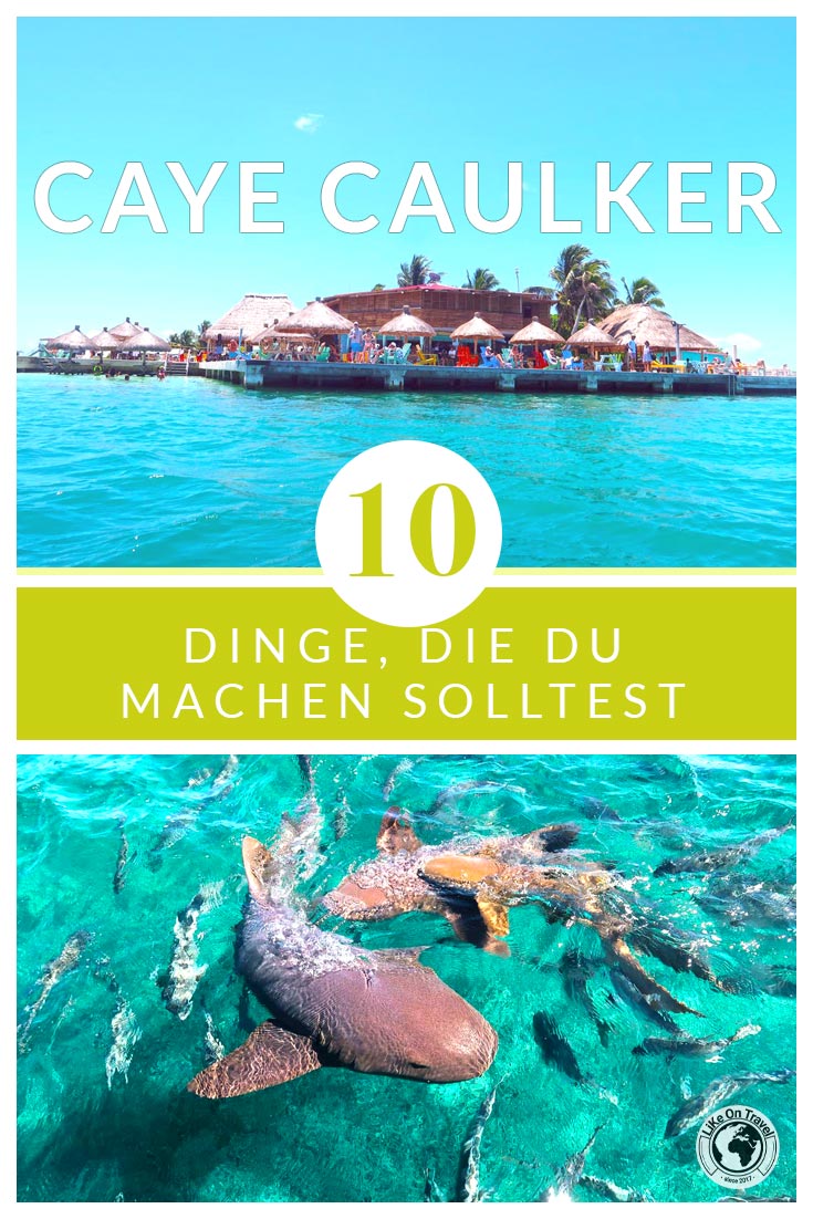 10 ultimative Tipps für die karibische Insel Caye Caulker in Mittelamerika! #belize #amerika #mittelamerika #karibischeinsel #karibik #cayecaulker #tipps #reiseblog #blog