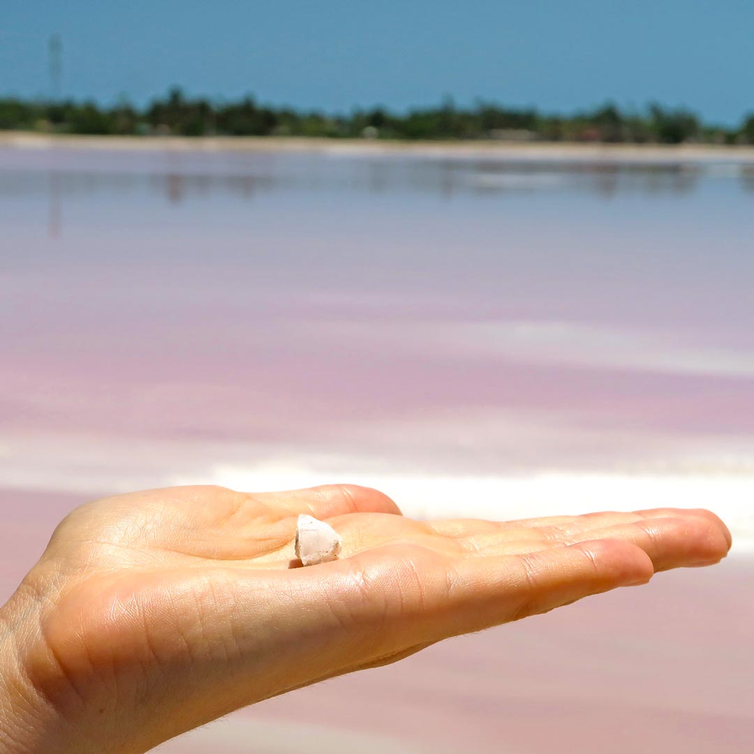 Finde Salt in den pinken Salzfeldern von Mexiko